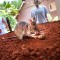 Apopo mine detection rats sand pit