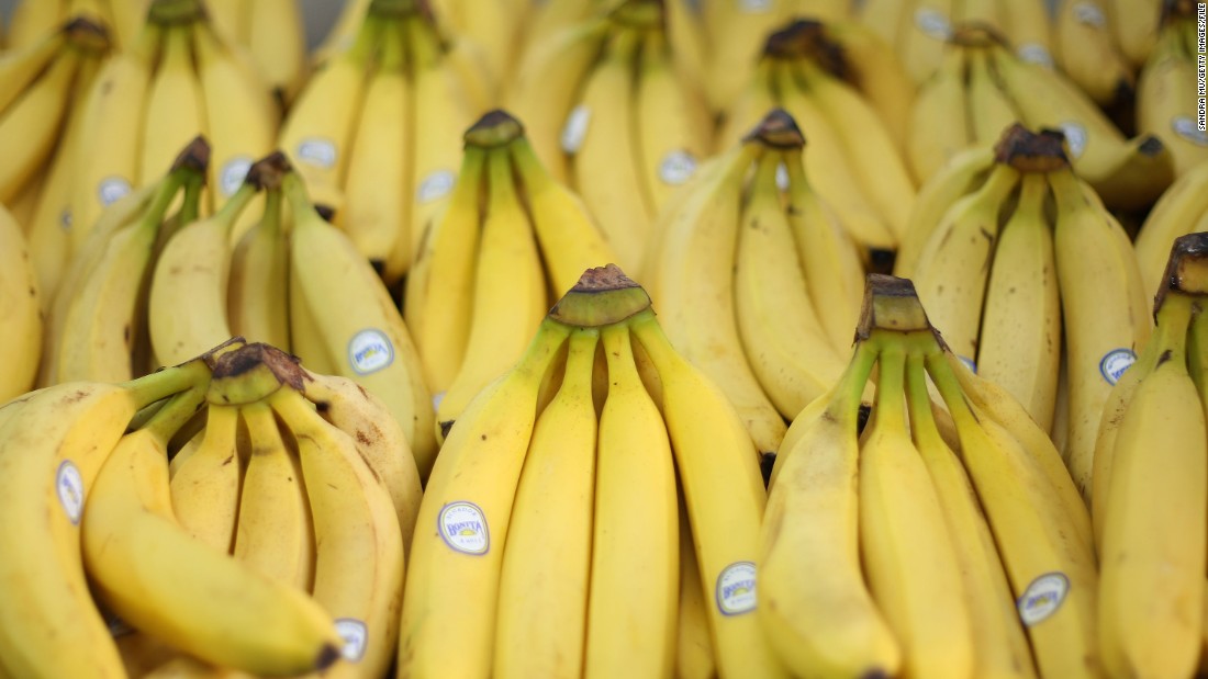 The supermarket variety of the banana fruit, the Cavendish, is currently threatened by a disease know as &quot;Tropical Race 4.&quot;