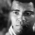 31 muhammad ali