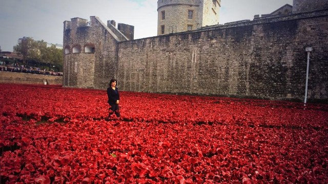 Sea of poppies commemorates WWI dead