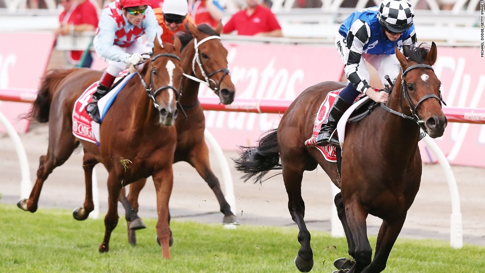In the blue shirt and checkered cap, English jockey Ryan Moore pushes Protectionist ahead of the pack in Australia&#39;s Melbourne Cup, which is known as &quot;the race that stops the nation.&quot;