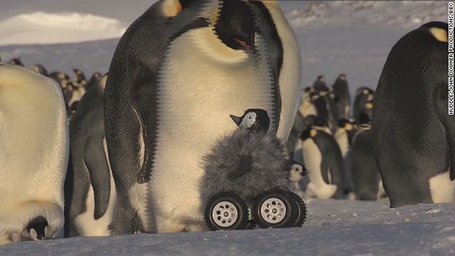 Scientists use robots to spy on penguins - CNN Video