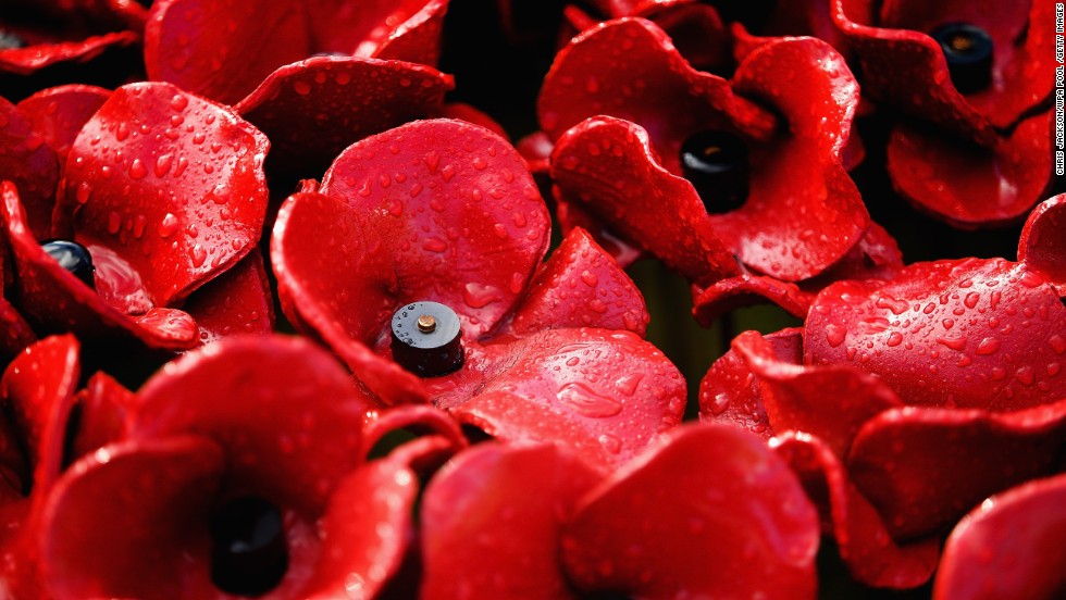Each of the blooms commemorates one of the British and Colonial soldiers who died in World War I.