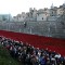 Tower of London poppies queue