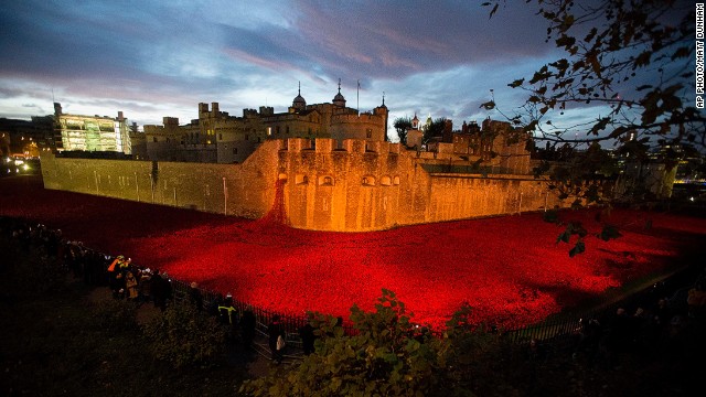 Poppies commemorate fallen in WWI