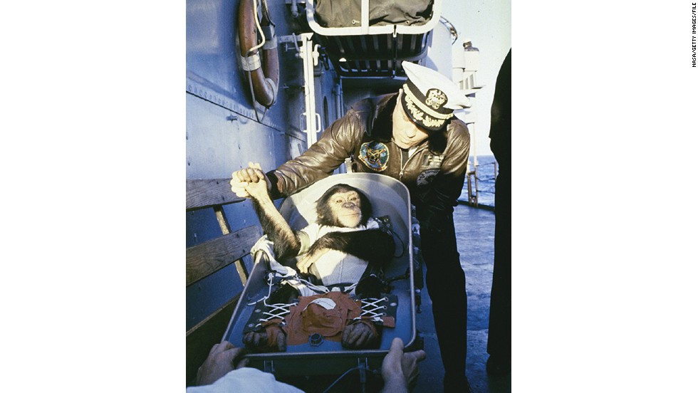 NASA&#39;s celebrity animal astronaut, Ham the Chimpanzee is greeted after landing at sea, after a flight into space in 1961.