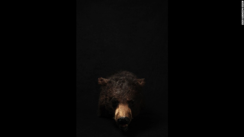 Lach used a black background for some of his photos. &quot;I wanted to isolate these exhibits to give them the rank of authenticity and pain,&quot; he said.