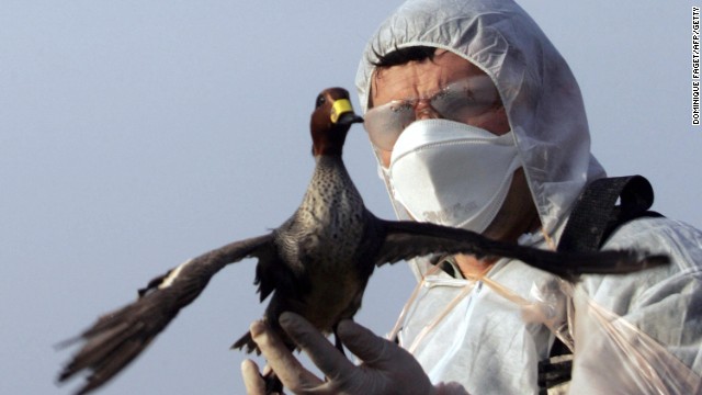 Bird flu worries spread in Europe