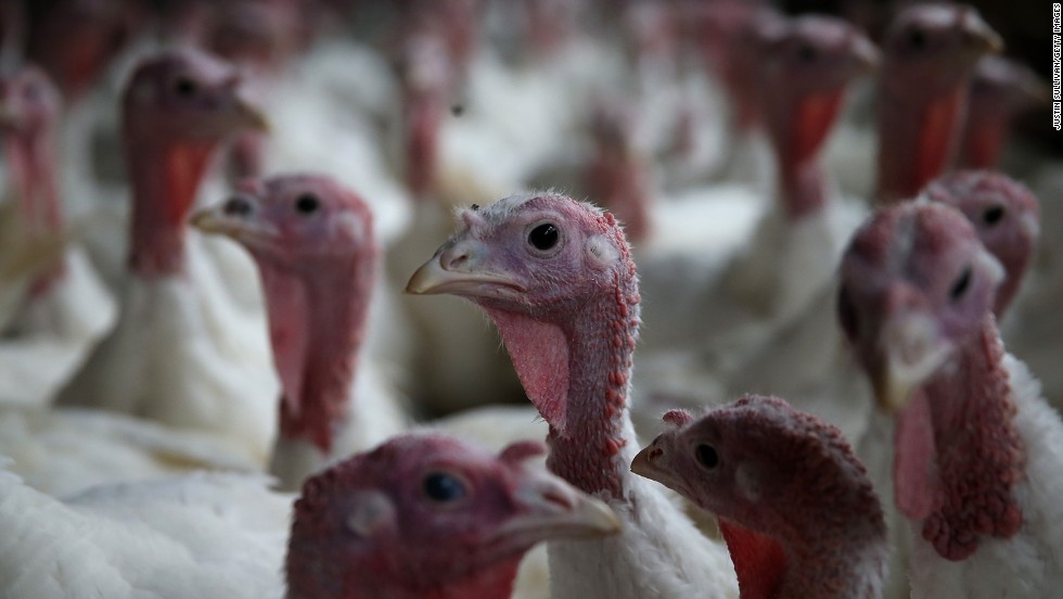 Thanksgiving is full of numbers -- some big, some astonishing. For example, this Thanksgiving Americans will eat an estimated 46 million turkeys. That&#39;s a lot of bird.