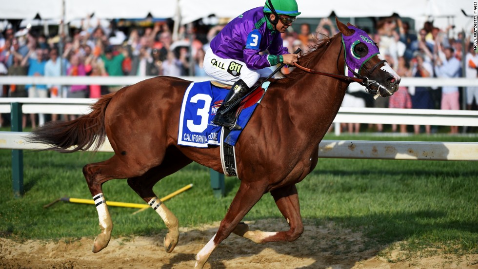 California Chrome has enjoyed highs in 2014 but also a few lows, yet he could still be crowned Horse of the Year in the U.S.