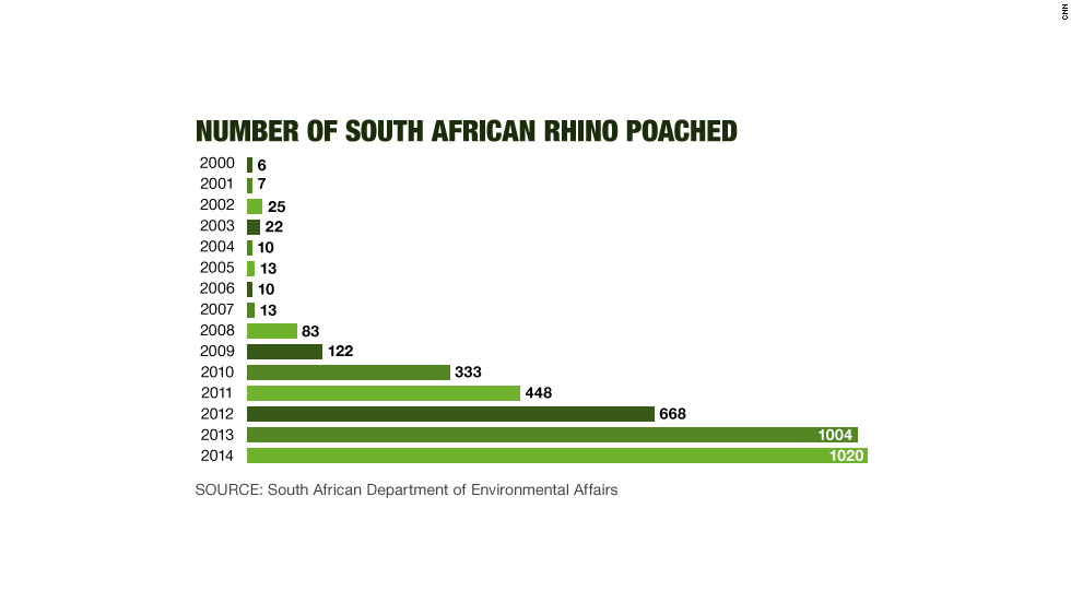 number of South African rhino poached