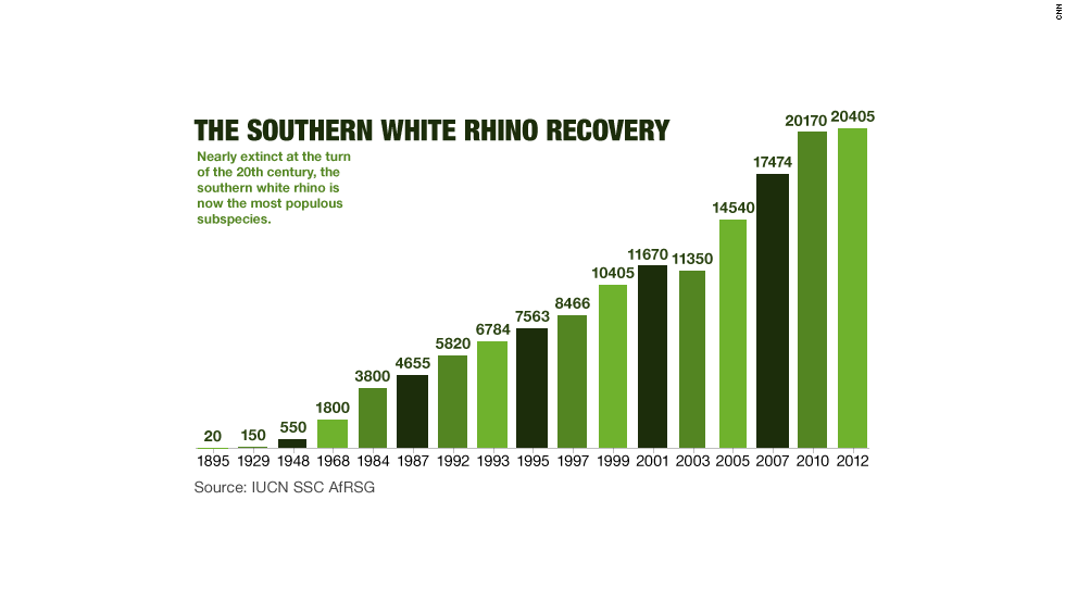 White Rhino Population Graph over Time in the World Rhino Rest