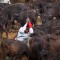 Inside Gadhimai, the world's biggest ritual slaughter - CNN