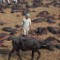Inside Gadhimai, the world's biggest ritual slaughter - CNN