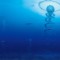 undersea spirals shinzu