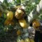 Ghana cocoa tree ISSOUF SANOGO AFP Getty Images