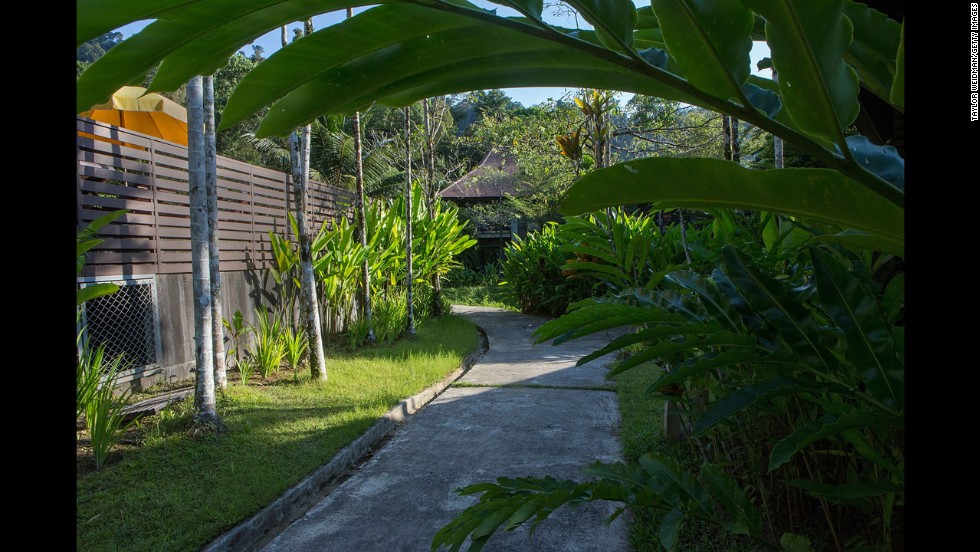 Plants grow at the rebuilt Wannaburee Resort in Khao Lak.