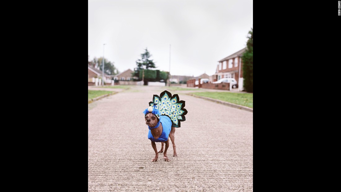 Mugly is often entered in fancy dress competitions. He has many different costumes, including this peacock outfit.