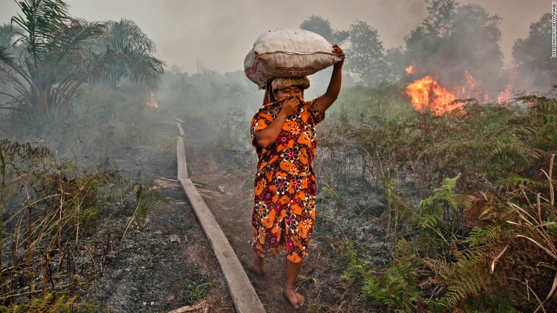 A woman walks through a smoky haze in Siak Regency, Riau Province, Indonesia, during the burning of forests there in 2013. Eight farmers were arrested for setting fires on Sumatra Island, and fires are also common on Borneo. 