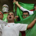 algeria fans afcon