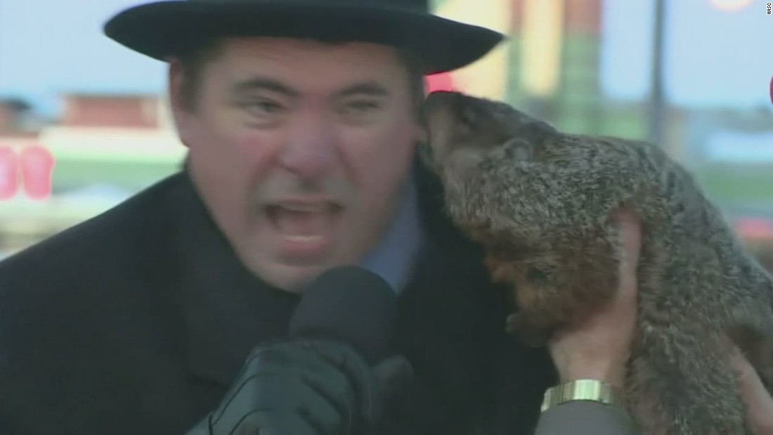 Jimmy la marmota mordedora - CNN Video