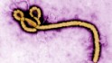 Suspected Ebola case investigated in Europe