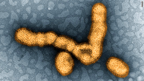 Everything you need to know about the H1N1 influenza virus pandemic