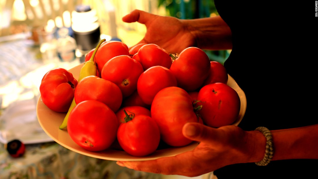 Part of the traditional Ikarian diet: fresh tomatoes from the garden.