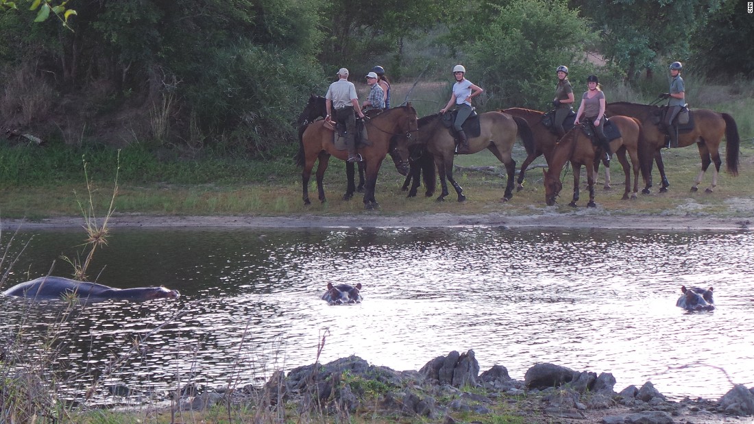 Horseback provides a perfect vantage point to watch hippos wallowing ... 