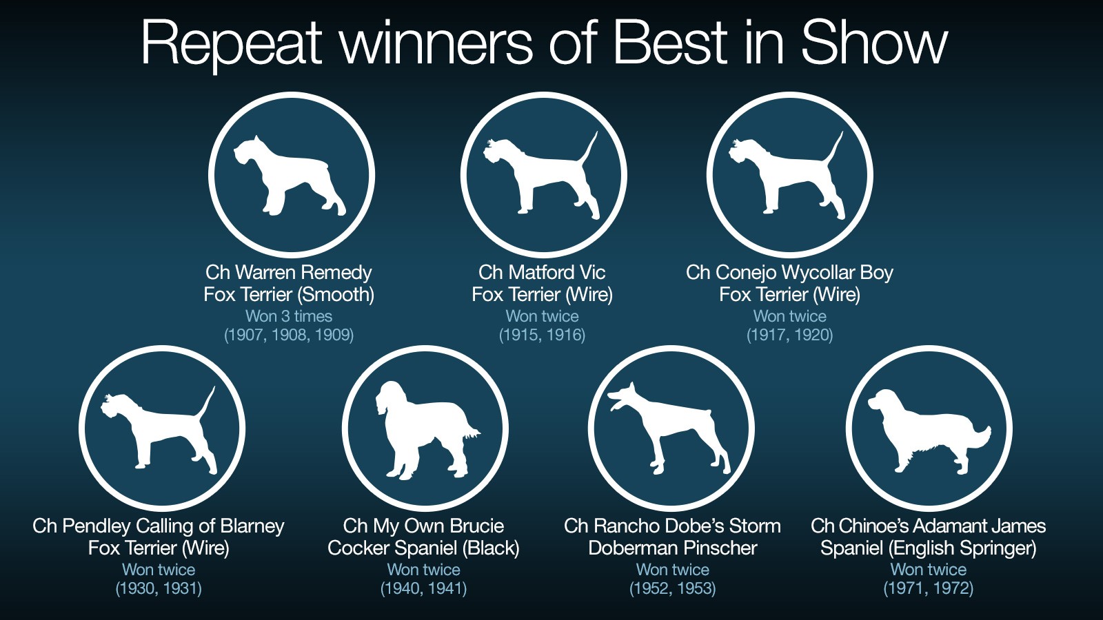 Westminster Dog Show Fast Facts CNN