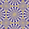 illusion spinning circles