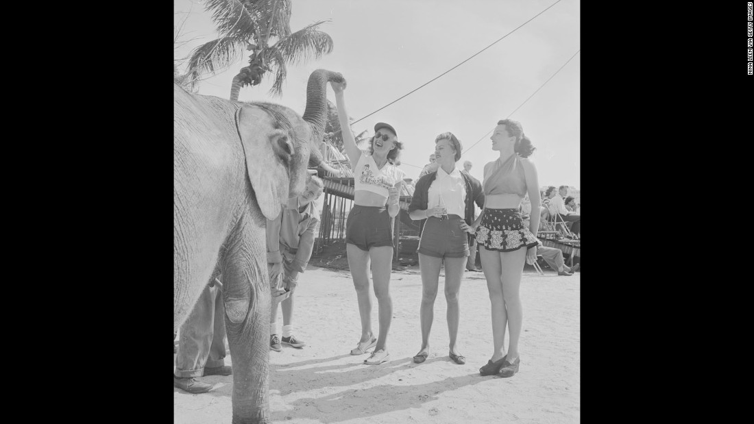 People stand near a circus elephant during a rehearsal in Sarasota, Florida, in 1949.