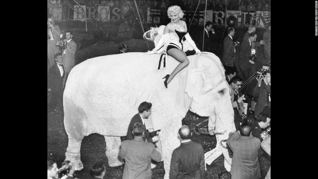 Actress Marilyn Monroe rides on the back of an elephant to mark the opening night of the circus at New York&#39;s Madison Square Garden in March 1955.