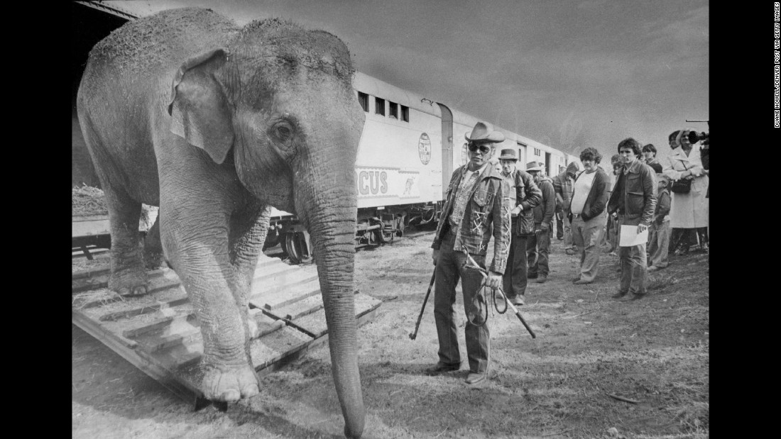 An elephant walks out of a boxcar near the show&#39;s famous animal trainer, Gunther Gebel-Williams, in 1979.