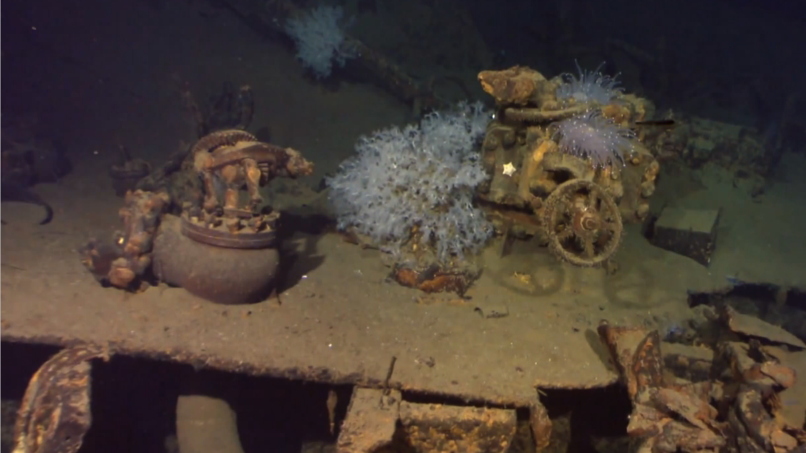 500 Year Old Shipwreck Emerges From River Cnn Video 7034