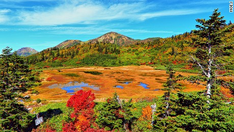 beautiful japan Koya Pond