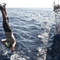 volvo ocean race dive