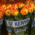 Kenya flowers