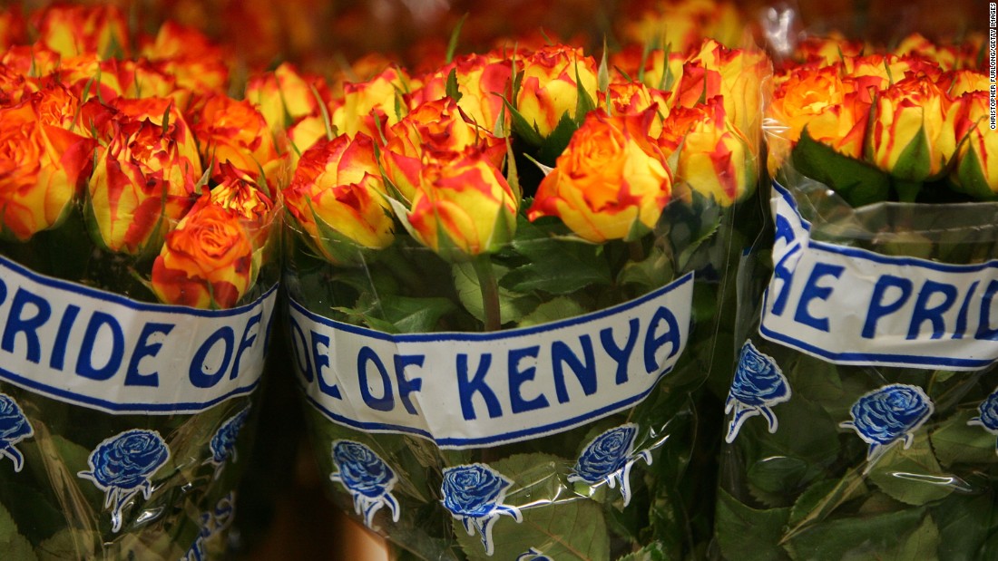 Kenya is one of the world&#39;s biggest exporters of cut flowers, accounting for around one in three flowers sold in the European Union.