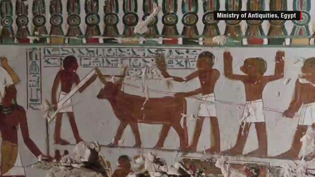 Ancient Egyptian Tomb Uncovered Cnn Video