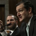 ted cruz gallery 16