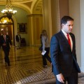 marco rubio gallery 2