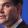 marco rubio gallery 3