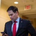 marco rubio gallery 19