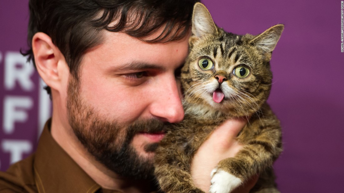 Owner Mike Bridavsky and celebrity cat &lt;a href=&quot;https://twitter.com/iamlilbub&quot; target=&quot;_blank&quot;&gt;Lil Bub&lt;/a&gt; at the screening of &quot;&lt;a href=&quot;http://www.imdb.com/title/tt2877280/&quot; target=&quot;_blank&quot;&gt;Lil Bub &amp;amp; Friendz&lt;/a&gt;&quot; during the 2013 Tribeca Film Festival in New York.   