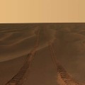 Mares Opportunity tracks