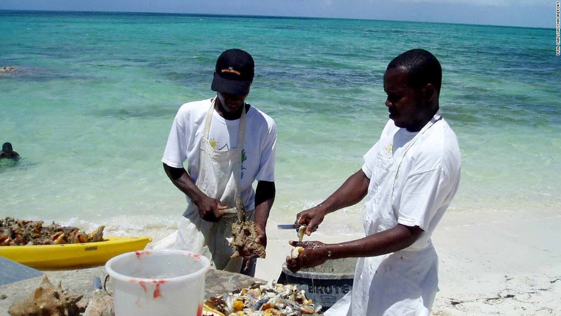 &lt;a href=&quot;http://ireport.cnn.com/docs/DOC-1222445&quot;&gt;Erin Carlson&lt;/a&gt; visited Turks and Caicos in 2007 for her wedding. &quot;One of our &#39;must dos&#39; was a visit to &#39;da Conch Shack.&#39; Here you can watch as they clean the conch right there on the beach, which you can then order in a dish at this little seaside bistro shack,&quot; wrote Carlson.