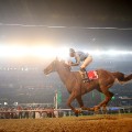 horse racing dubai wortld cup prince bishop