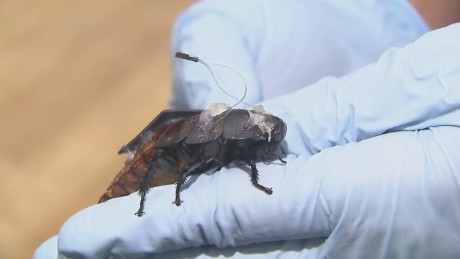 Shocking video reveals bed bug infestation - CNN Video