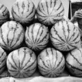 China Wang melons